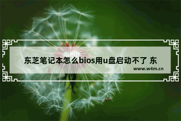 东芝笔记本怎么bios用u盘启动不了 东芝笔记本如何用U盘启动Bios？