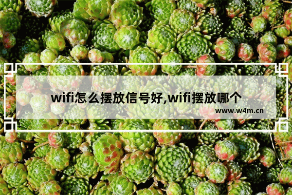 wifi怎么摆放信号好,wifi摆放哪个位置效果最好