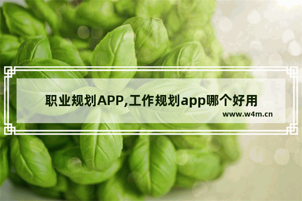 职业规划APP,工作规划app哪个好用