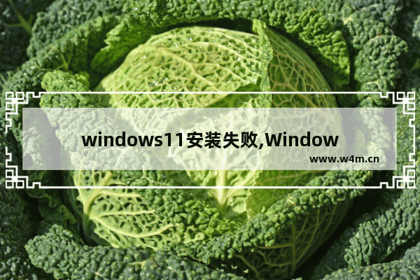 windows11安装失败,Windows10安装失败