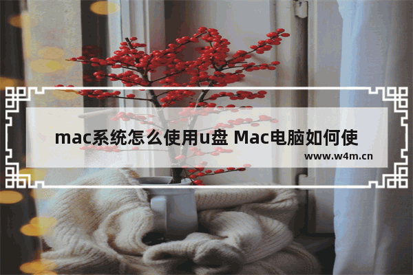 mac系统怎么使用u盘 Mac电脑如何使用U盘