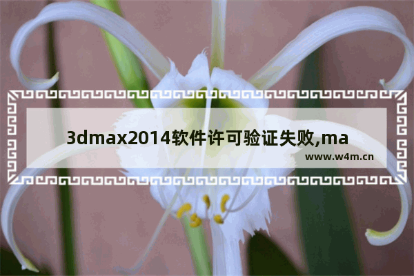 3dmax2014软件许可验证失败,max2012软件许可证检出失败