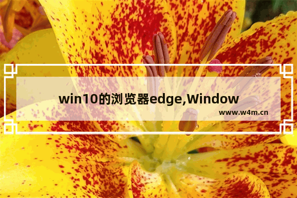 win10的浏览器edge,Windows的edge浏览器