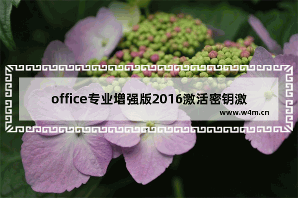 office专业增强版2016激活密钥激活码,microsoft office2016专业增强版产品密钥