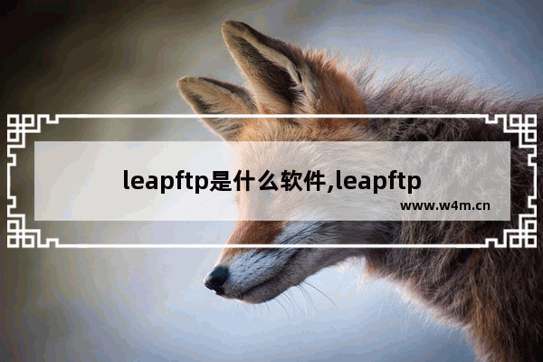 leapftp是什么软件,leapftp注册教程