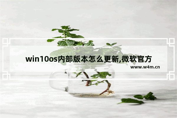 win10os内部版本怎么更新,微软官方更新win10