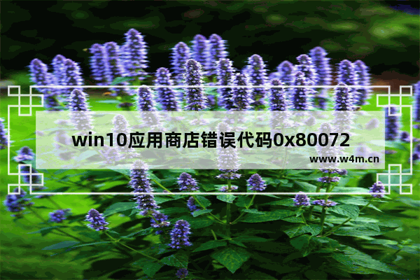 win10应用商店错误代码0x80072ee7,win10应用商店0x80072EFD