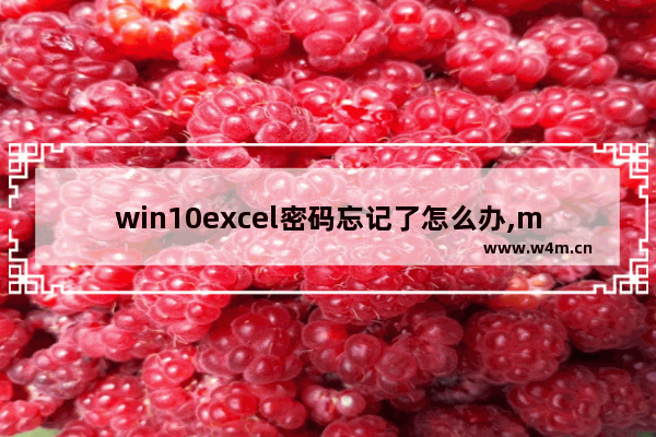 win10excel密码忘记了怎么办,microsoft excel忘记密码怎么办