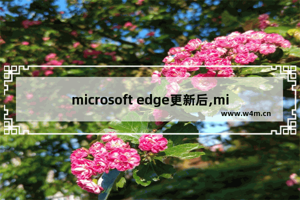 microsoft edge更新后,microsoft edge更新了怎么取消