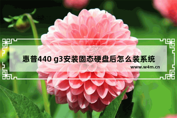 惠普440 g3安装固态硬盘后怎么装系统 惠普440 g3如何在固态硬盘上安装系统