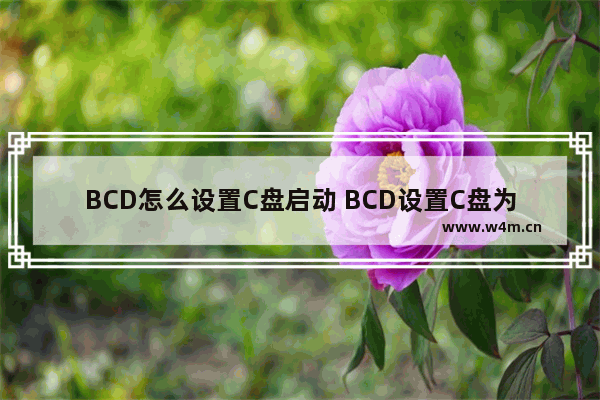 BCD怎么设置C盘启动 BCD设置C盘为启动项