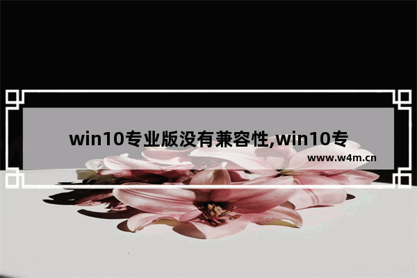 win10专业版没有兼容性,win10专业版找不到兼容模式