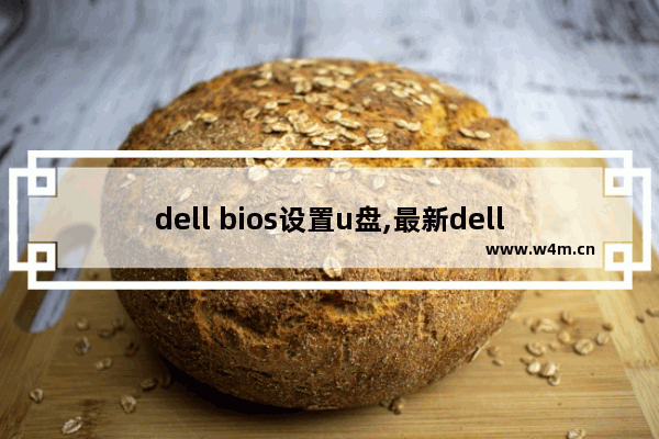 dell bios设置u盘,最新dell电脑进入bios设置u盘启动教程