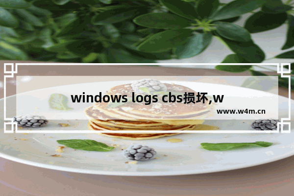 windows logs cbs损坏,windows--logs--cbs--cbs.log损坏无法修复