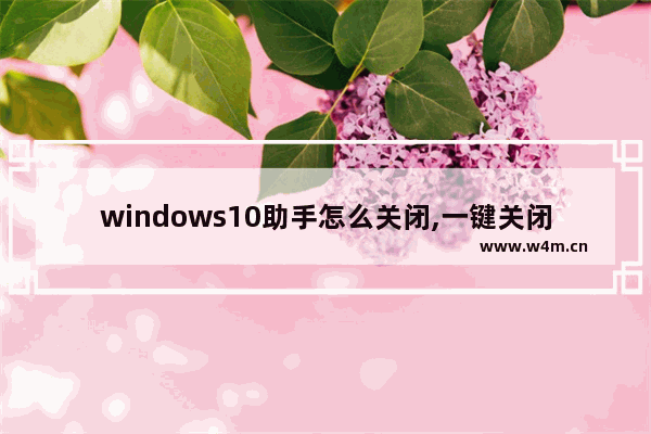 windows10助手怎么关闭,一键关闭win10更新