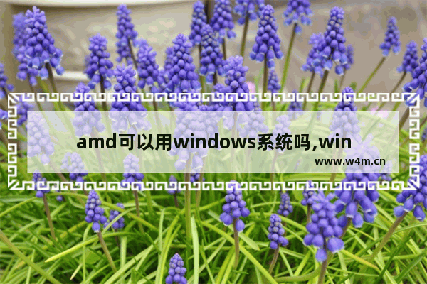 amd可以用windows系统吗,windows11对amd不友好