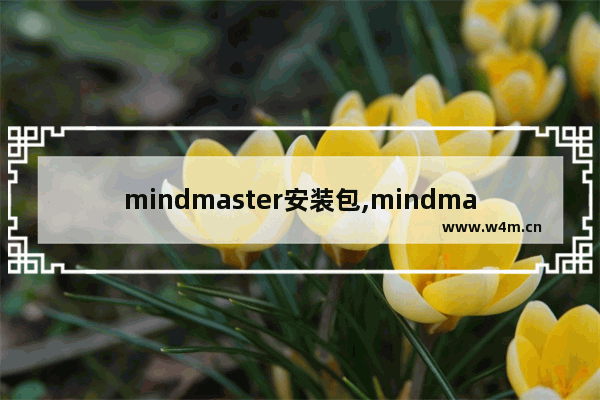 mindmaster安装包,mindmaster激活版