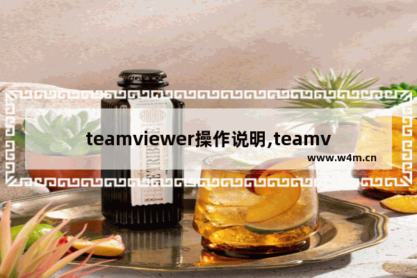 teamviewer操作说明,teamviewer功能详解