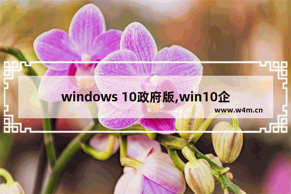 windows 10政府版,win10企业版