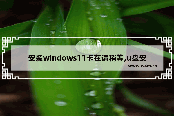 安装windows11卡在请稍等,u盘安装win10卡住