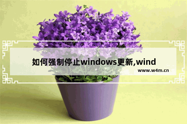 如何强制停止windows更新,windows10更新能不能强制停止