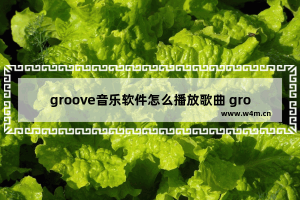 groove音乐软件怎么播放歌曲 groove音乐软件的歌曲播放教程