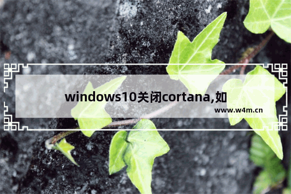 windows10关闭cortana,如何关闭win10cortana