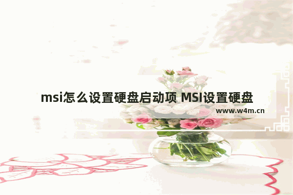 msi怎么设置硬盘启动项 MSI设置硬盘启动项方法