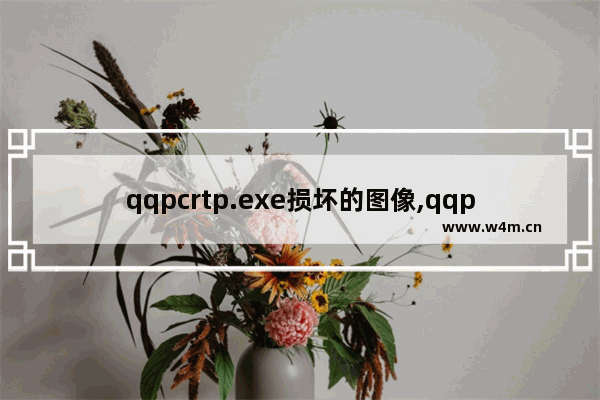 qqpcrtp.exe损坏的图像,qqprotectupd.exe损坏的图像