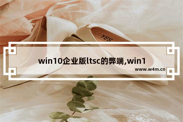 win10企业版ltsc的弊端,win10企业版ltsc没有浏览器