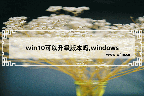 win10可以升级版本吗,windows10pro什么版本