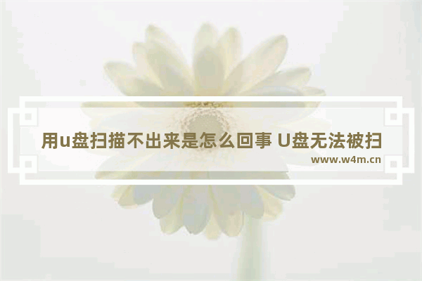 用u盘扫描不出来是怎么回事 U盘无法被扫描出来的原因是什么？