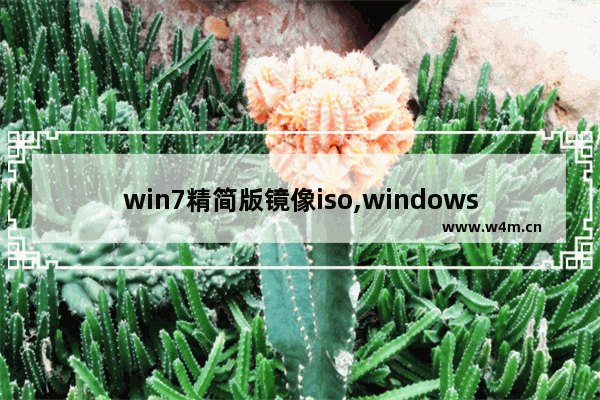 win7精简版镜像iso,windows7纯净版iso镜像