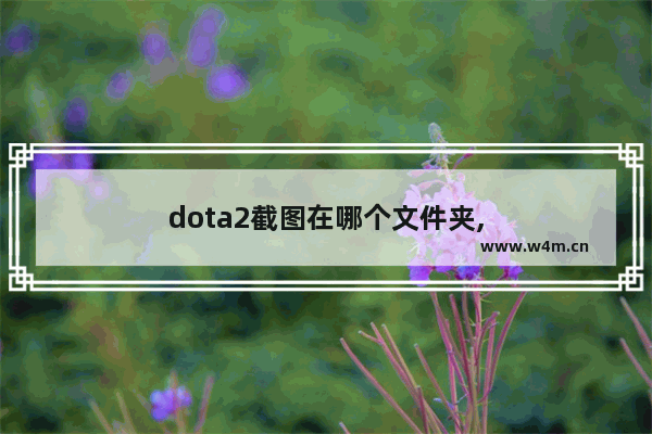 dota2截图在哪个文件夹,