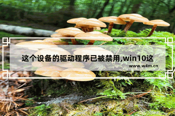 这个设备的驱动程序已被禁用,win10这个设备(服务)的驱动程序已被禁用