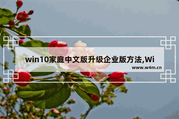 win10家庭中文版升级企业版方法,Win10家庭版免费升级企业版