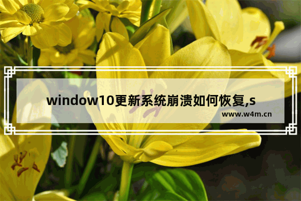 window10更新系统崩溃如何恢复,setupdiag.exe已停止工作 更新Win10