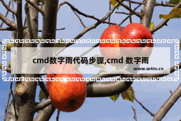 cmd数字雨代码步骤,cmd 数字雨