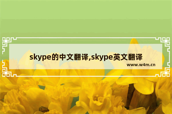 skype的中文翻译,skype英文翻译