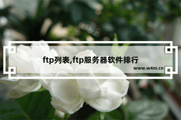 ftp列表,ftp服务器软件排行