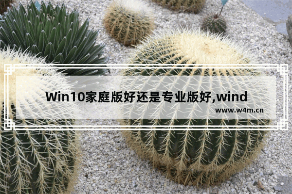 Win10家庭版好还是专业版好,windows10专业版好还是家庭版好