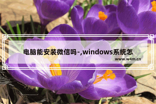 电脑能安装微信吗-,windows系统怎么安装微信