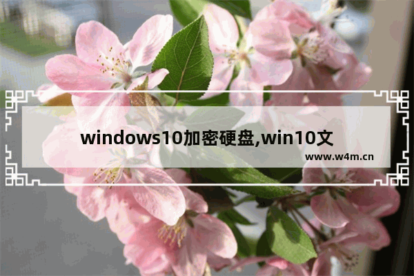 windows10加密硬盘,win10文件夹加密软件哪个好