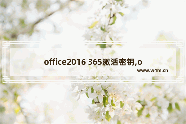 office2016 365激活密钥,office365永久激活密钥最新