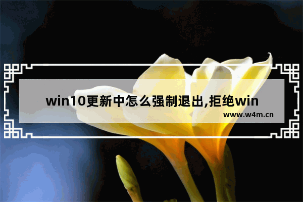 win10更新中怎么强制退出,拒绝windows10更新