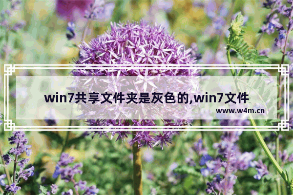 win7共享文件夹是灰色的,win7文件夹属性没有共享选项