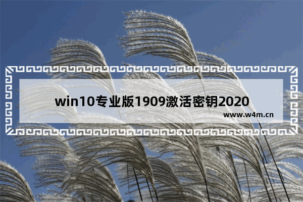 win10专业版1909激活密钥2020年,windows10专业版激活密钥2019_1