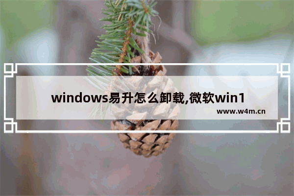 windows易升怎么卸载,微软win10易升可以卸载吗