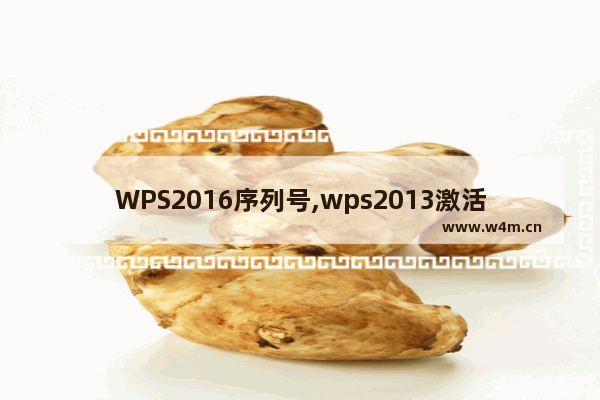 WPS2016序列号,wps2013激活码序列号