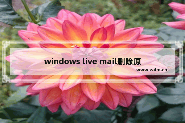 windows live mail删除原有账户,